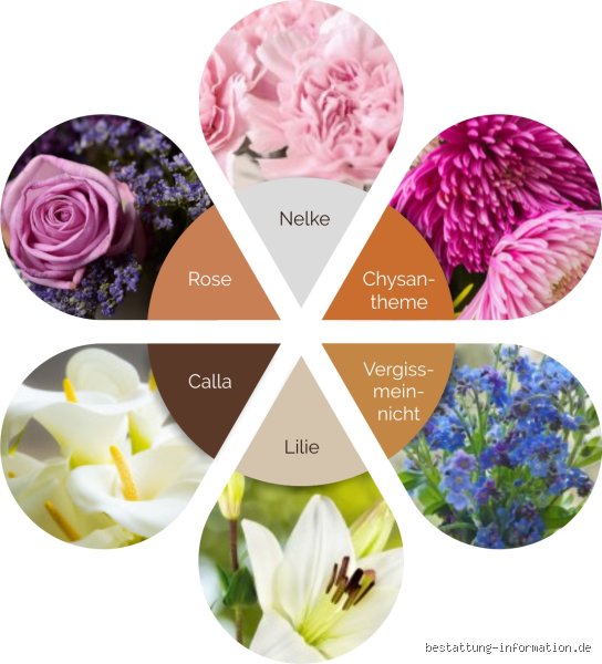 Welche Blume steht für Erinnerungen?