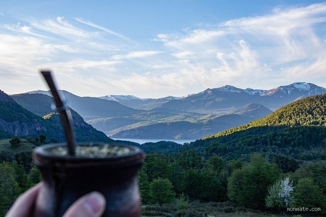 Maté en Calebasse : Simple Tradition ou Plaisir Indispensable ?