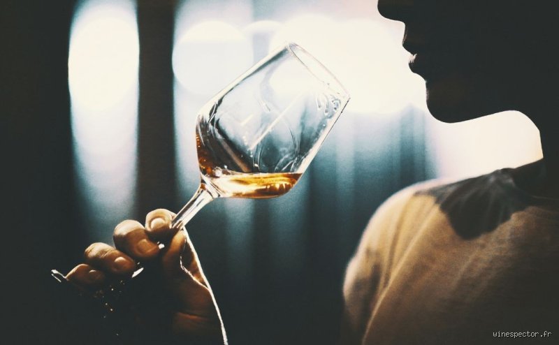 Quel vin boire le matin ?