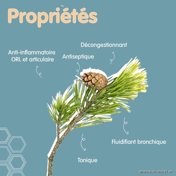 Quels sont les bienfaits du bois de pin ?