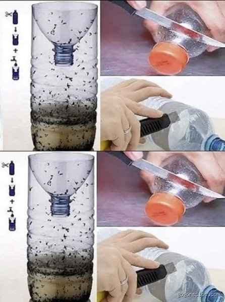 Fabriquer un piège à moustiques efficace en quelques minutes : guide pratique