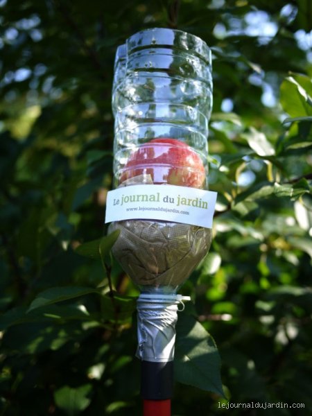 Comment faire un cueille-fruit ?