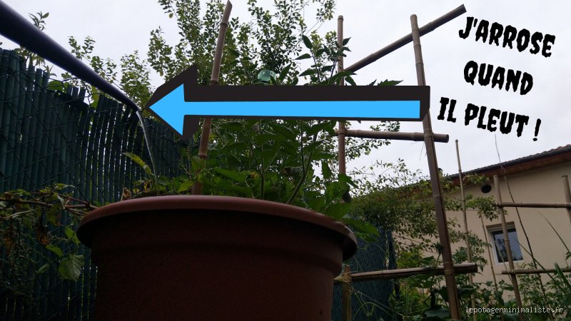 Pourquoi on arrose le béton ? Les secrets d'une dalle indestructible