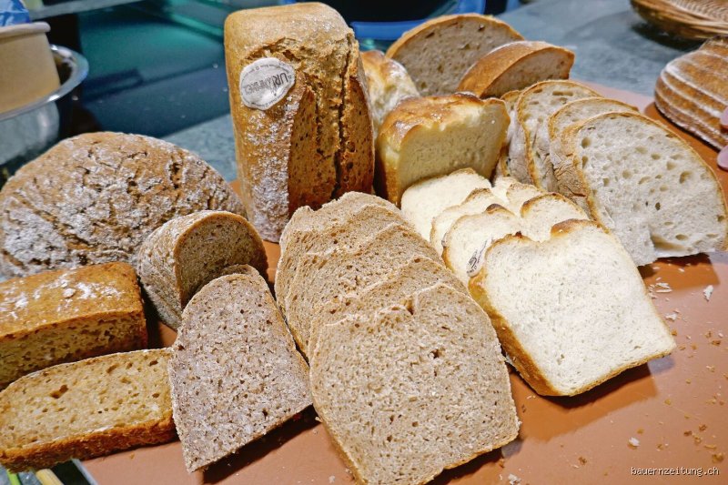 Was Artikel von Brot? – Der umfassende Leitfaden zu Genus, Grammatik und Warenkunde
