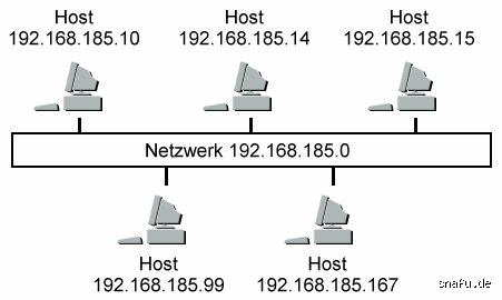 Wie nennt man das Feld für die Internetadresse? Alles, was du wissen musst