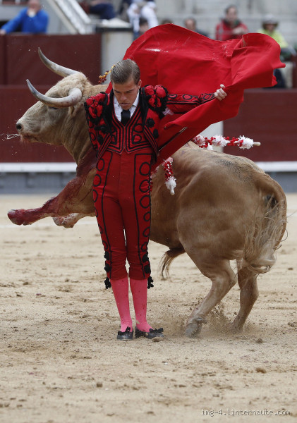 Est-ce que le taureau souffre lors de la corrida ?