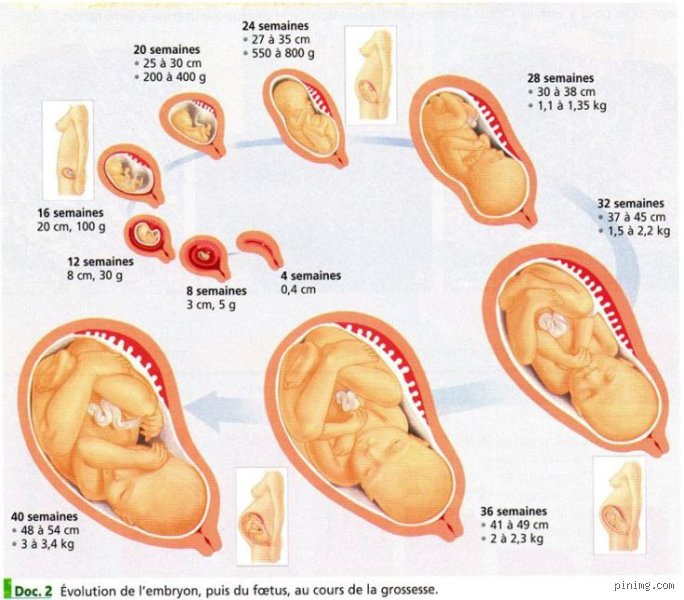 Quand bébé voit maman : tout ce qu'il faut savoir sur la découverte visuelle de votre enfant