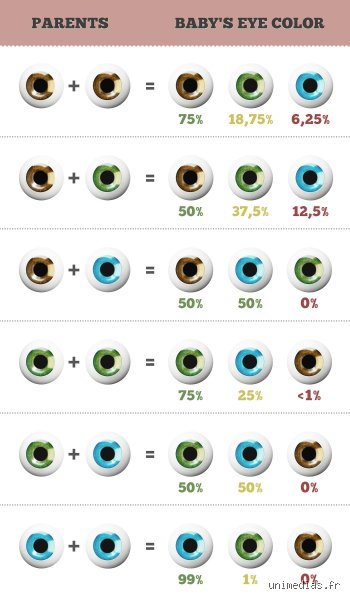 Quand les yeux de bébé sont-ils définitifs ?