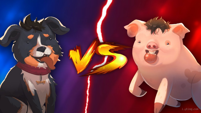 Quel est l'animal le plus fort à la bagarre ?