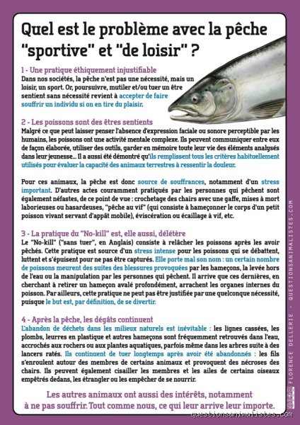 Quel est le problème avec la pêche ?