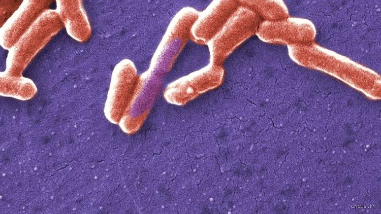Quelle bactérie est la plus nocive ? Enquête au cœur de la terreur microscopique et des tueuses invisibles