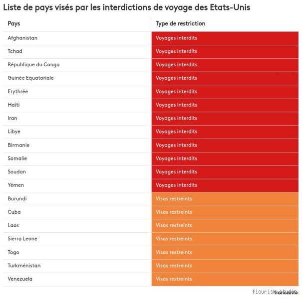 Quels sont les 12 pays qui ne peuvent plus aller aux États-Unis : la vérité sur les restrictions d'accès actuelles