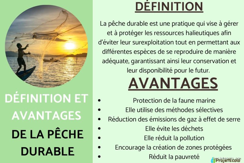 Quels sont les désavantages de la pêche ? Enquête sur les failles béantes d'une industrie entre traditions et désastres écologiques