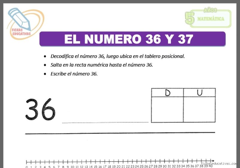 Quel numéro 36-37 ? Naviguer dans la jungle des tailles de chaussures