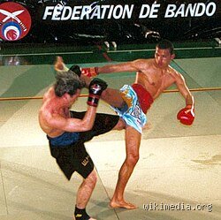 Quelle boxe avec les pieds ?