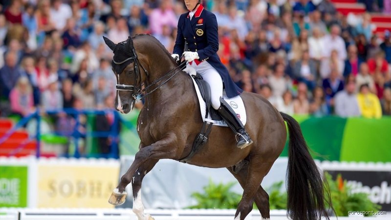 Quelles sont les meilleur chevaux selon les disciplines et les aptitudes ?
