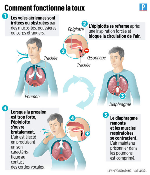 Pourquoi je tousse depuis 1 mois ?