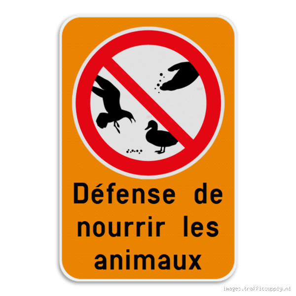 Quel animal est interdit de manger en France ? Découvrez les interdictions surprenantes !