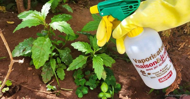 Comment faire du désherbant avec du vinaigre blanc et du bicarbonate ?
