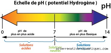 La réaction entre le bicarbonate de soude et le vinaigre est-elle une réaction de neutralisation : le grand déballage chimique