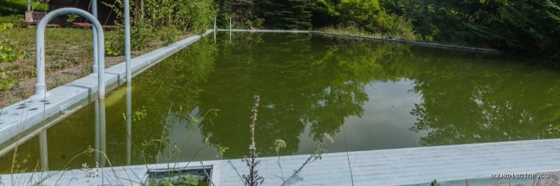 Pourquoi l’eau devient verte après un chlore choc : comprendre ce phénomène paradoxal qui ruine vos baignades