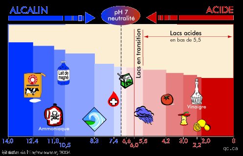 Que signifie un pH supérieur à 8 ? Comprendre l'alcalinité au-delà des chiffres pour maîtriser vos mesures