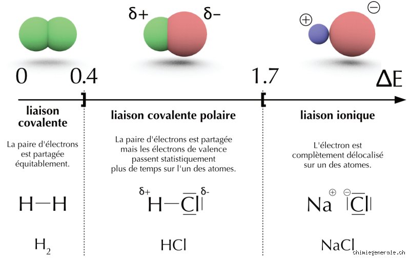 Quels sont les différents types de liaisons et quels en sont des exemples concrets pour mieux comprendre la matière ?