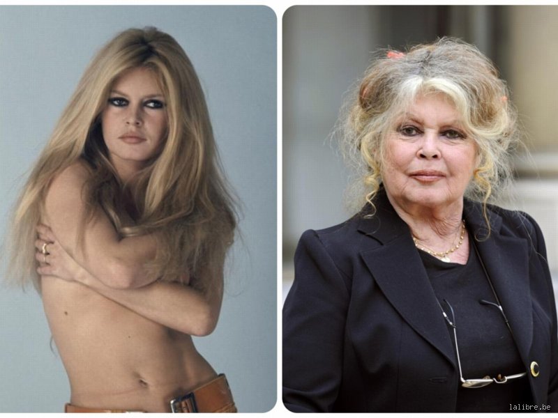 Est-ce que Brigitte Bardot était refaite ? La vérité sur le visage qui a bouleversé le cinéma mondial
