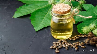 Pourquoi l'huile de ricin fait pousser ?