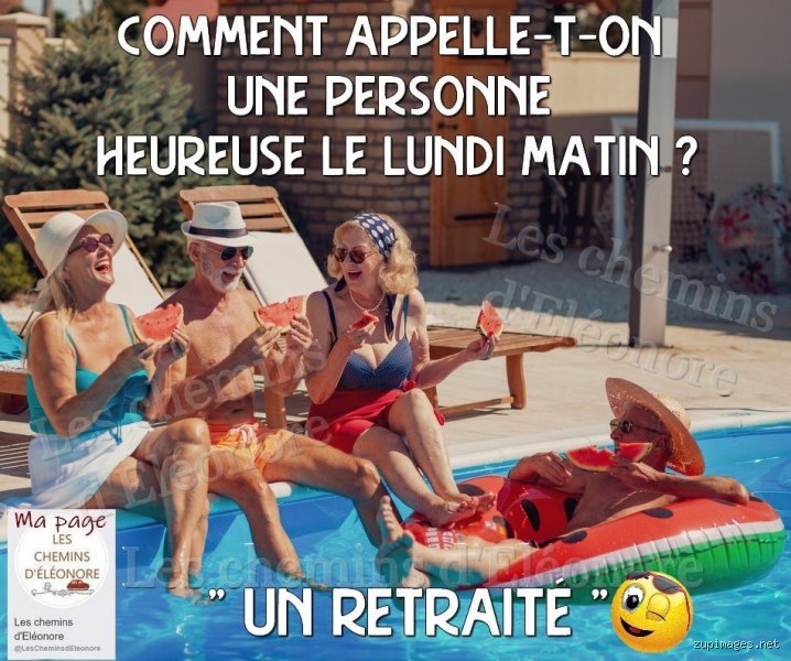 Comment appelle-t-on une personne agréable ? Le guide ultime pour décrypter les personnalités solaires en 2026
