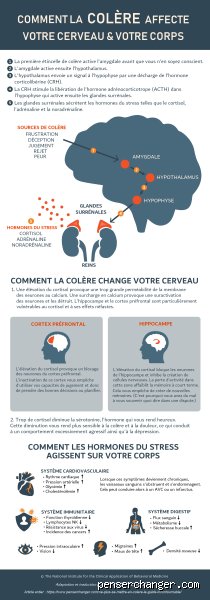 Comment calmer ses pulsions de colère quand on sent que tout va basculer : guide d’autodéfense psychologique