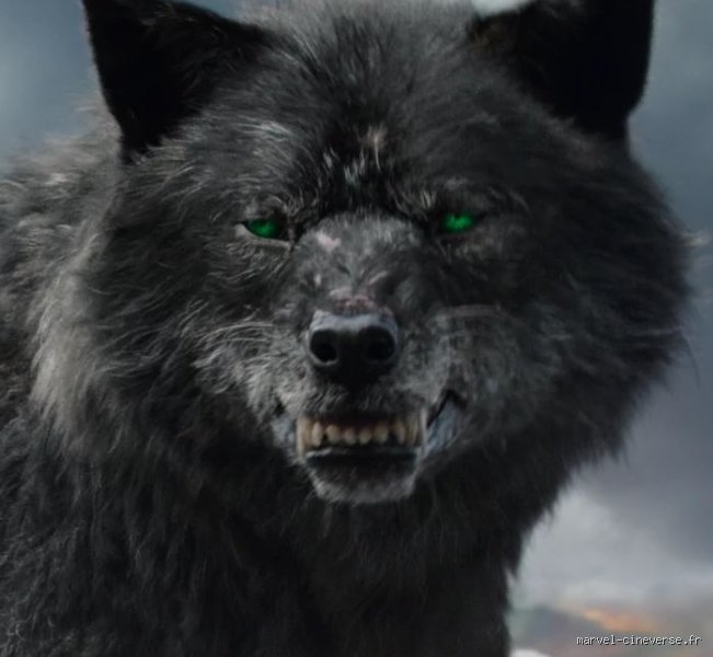 Le loup de Thor : pourquoi ce personnage s’appelle Fenrir et ce que ça change dans l’univers Marvel