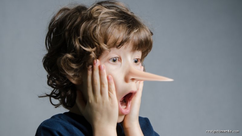 Comment appelle-t-on une personne qui n'admet jamais ses torts ?