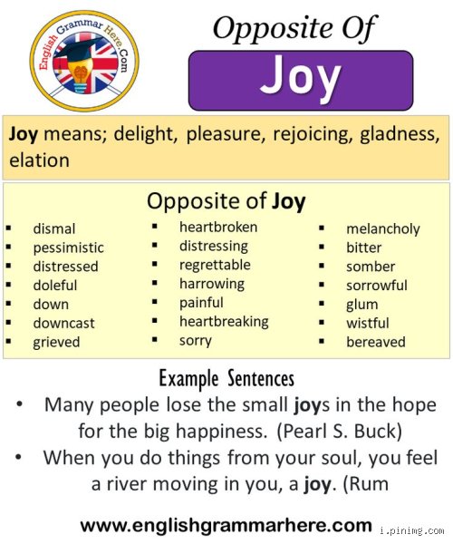 Le Vrai Contraire de Joyeux : Bien Plus Qu'un Simple Mot Triste !