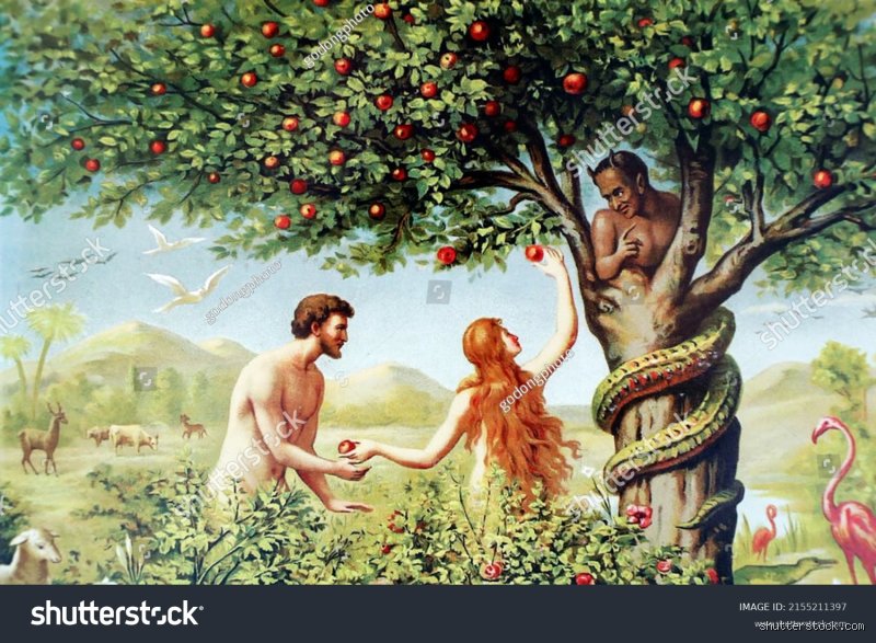 Quel est le fruit mangé par Adam et Eve ?