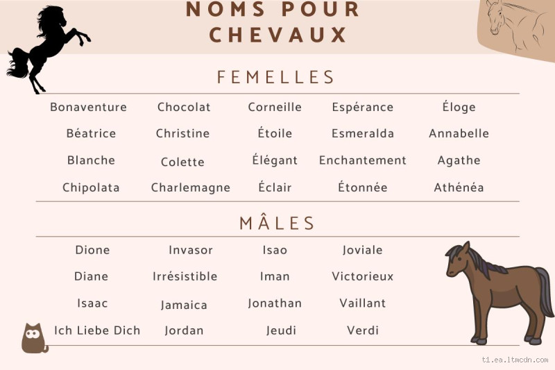 Quel est le nom de la femelle du cheval ?