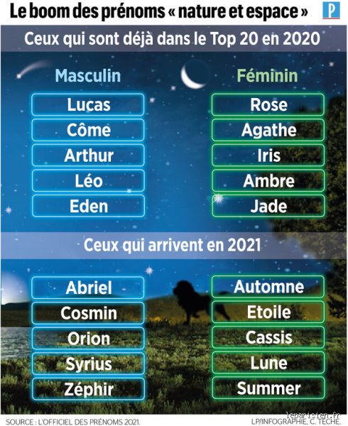 Quel est un joli nom inspiré par la nature ? Guide expert pour dénicher la perle rare et sauvage