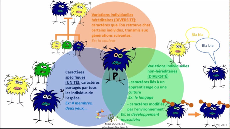 Quels sont les deux types de caractères ? Découvrez-les et leur impact