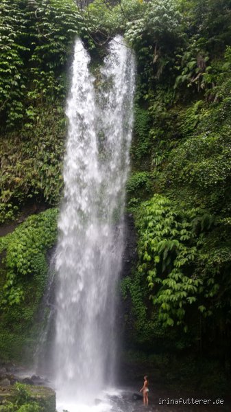 Was bedeutet er redet wie ein Wasserfall? Die Psychologie hinter dem unaufhaltsamen Redeschwall