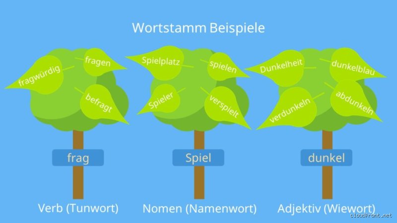 Was für Wortstämme gibt es? Die morphologische Basis der deutschen Sprache