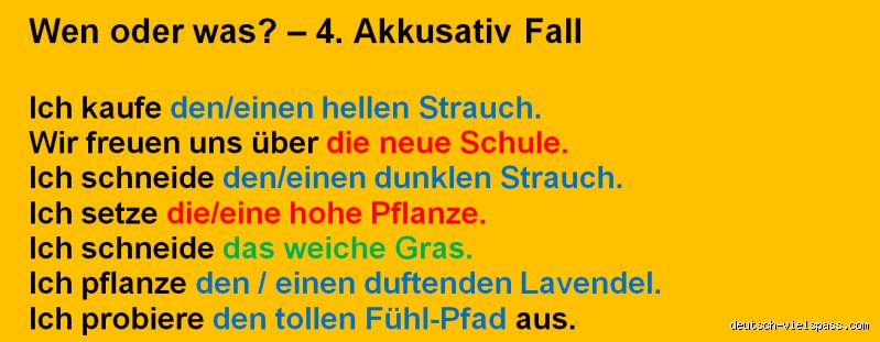 Was heißt auf Deutsch "wen"? Alles, was du wissen musst