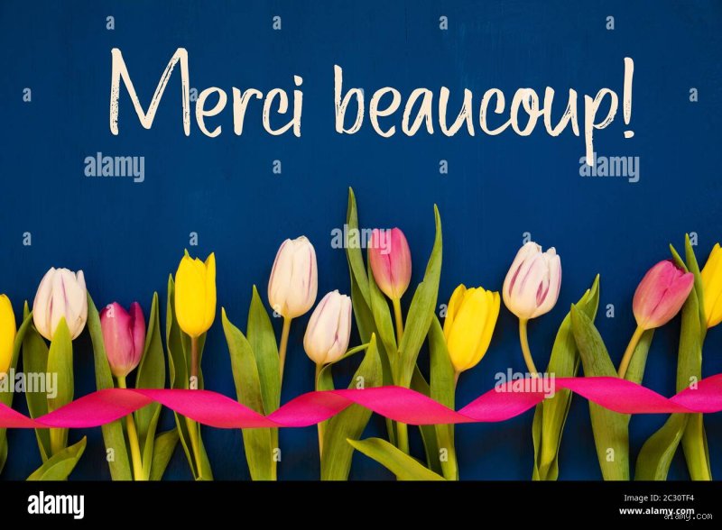 Was heißt Merci Bucur? Bedeutung und Hintergrund der Phrase