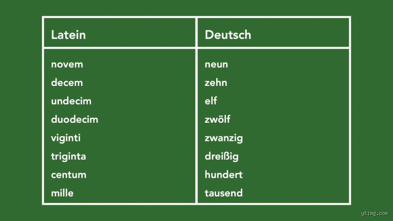 Was ist das lateinische Wort für Einzahl?