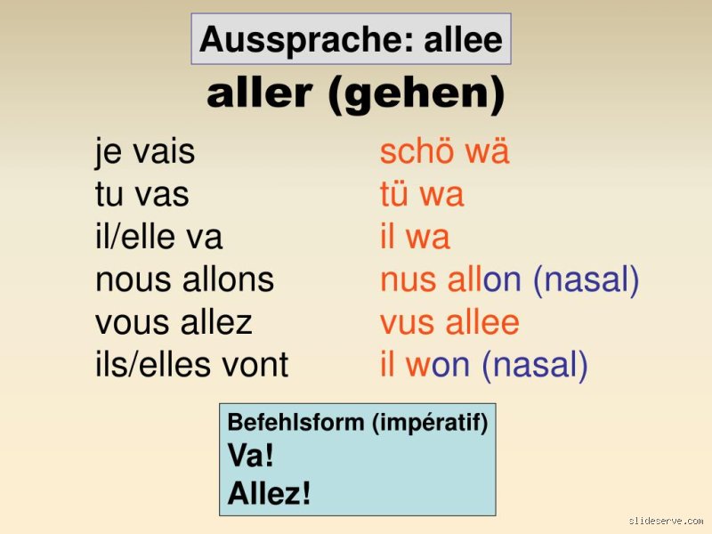Wer aller oder wer alles? Die Wahrheit hinter der deutschen Stilfalle