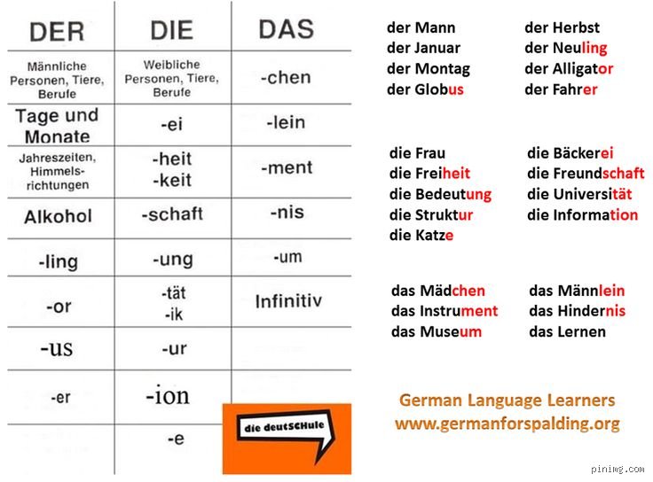 Wie benutzt man der die das? Ein Leitfaden zur Artikelbestimmung