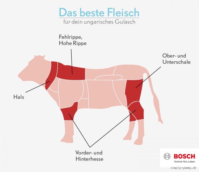 Der Gulasch oder das Gulasch? Die ultimative Antwort auf die Frage nach dem richtigen Genus eines ungarischen Nationalgerichts