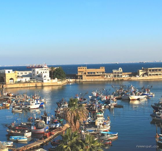 L'Algérie est-elle un bon endroit où vivre ? Ce que personne ne vous dit sur le quotidien au plus grand pays d'Afrique