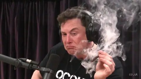 Elon Musk a smoker ? Entre mythes de la Silicon Valley, joints en direct et réalités de l'homme le plus riche du monde