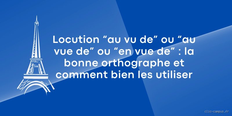 Quand on utilise vu ?