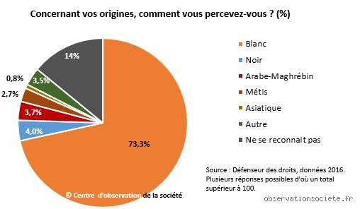 À quelle race appartiennent les Français ? La vérité derrière le brassage millénaire
